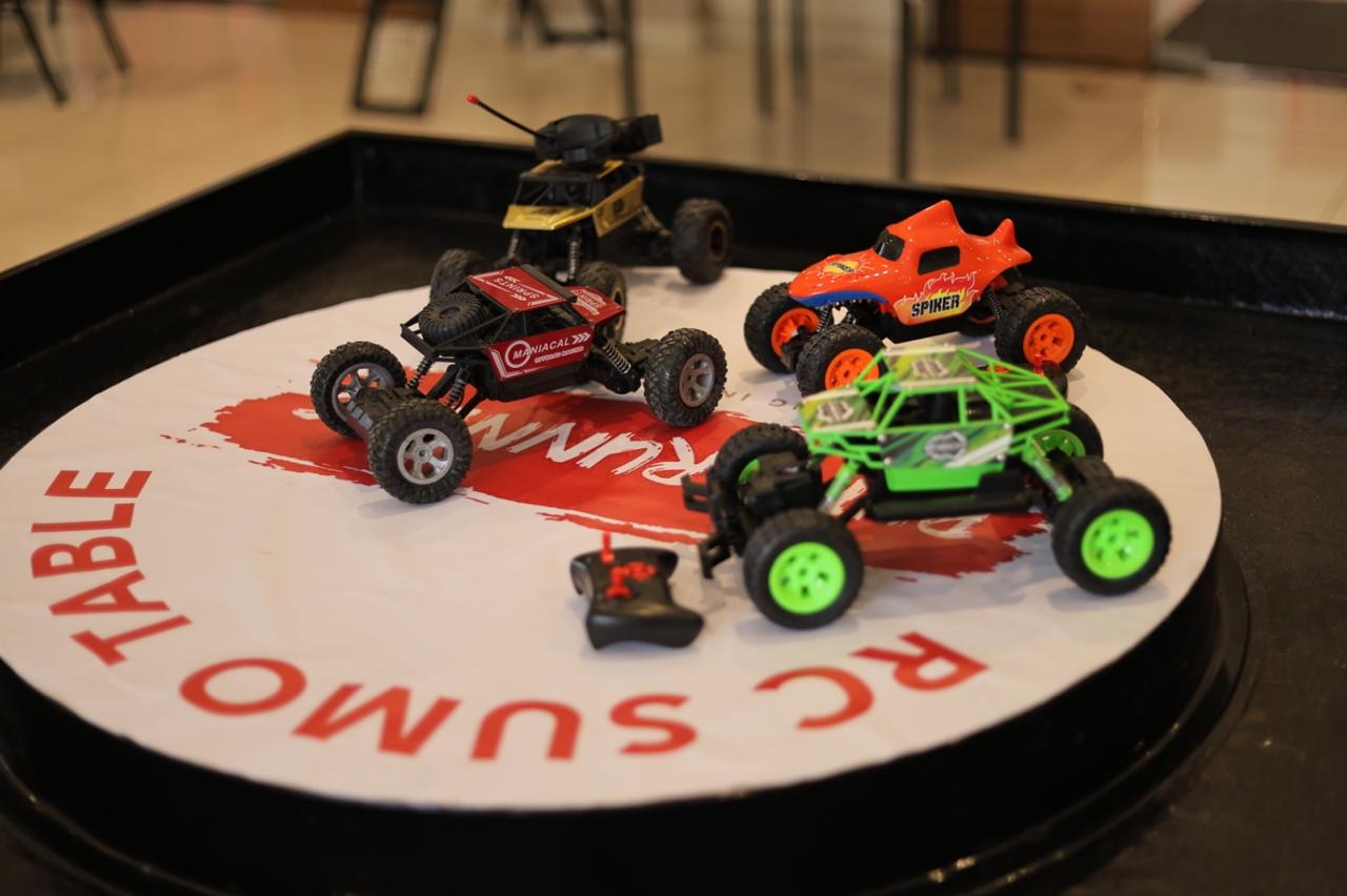 RC Sumo Table